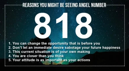 818 Angel Number Meaning: A New Dawn Rises
